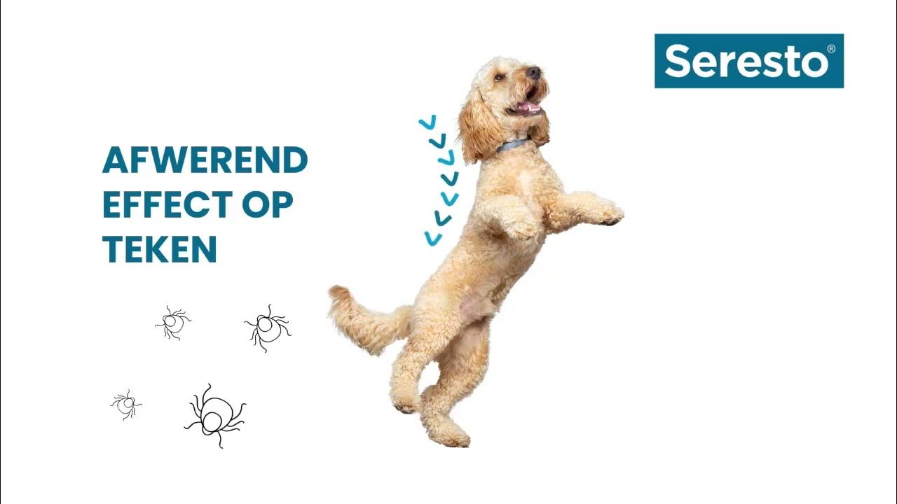 Seresto® & Advantix® Afwerend effect TVC YouTube