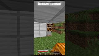 Bro Uncrafted Himself