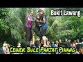 Ngakak! Bule Cantik Panjat Pinang 17 Agustus 2019 Di Bukit Lawang | Greasy Pole Climbing Contest