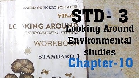 STD-3/Chapter-10/About Kitchen/Looking Around/Environmental/ Workbook/Answer/English Medium/