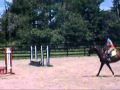 Riding lesson at if only farm  read description