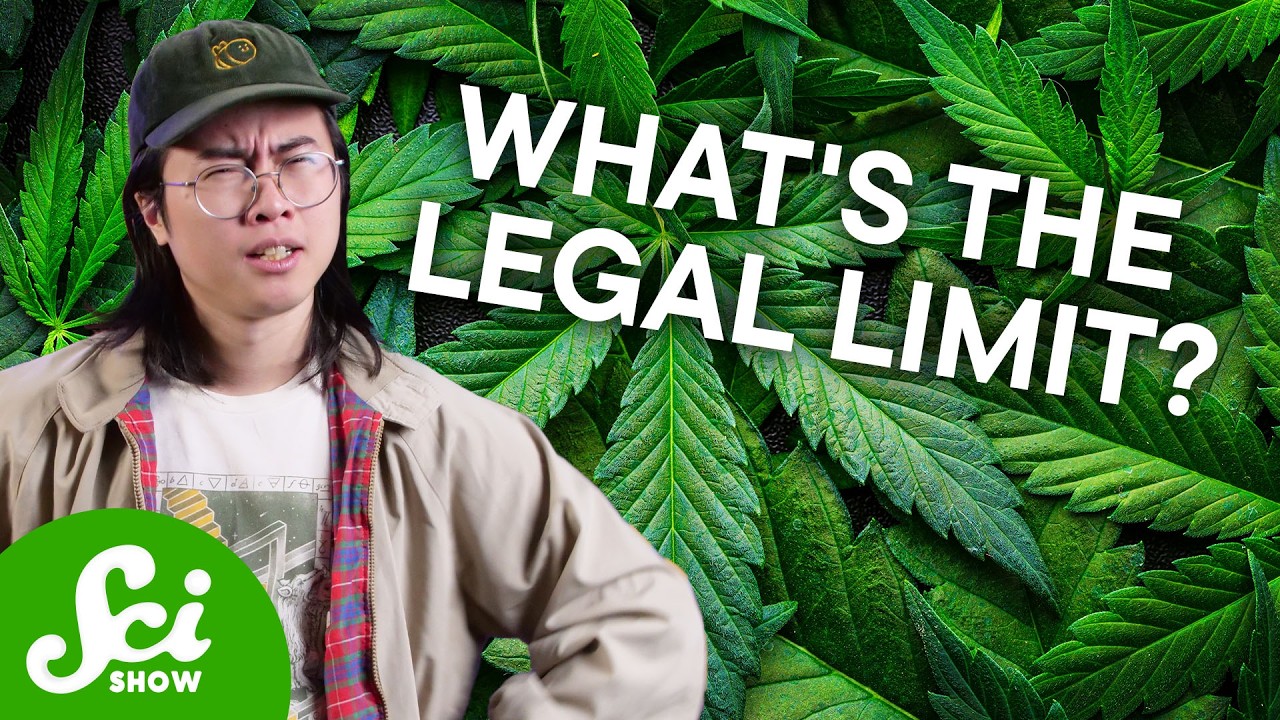 Why We Can’t Find a Legal Limit for Weed