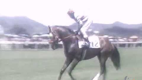 Explainer - Is Horse - From the Album Rebound -TSP (1987)