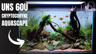 I MADE AN AQUASCAPE WITH JUST ONE PLANT!