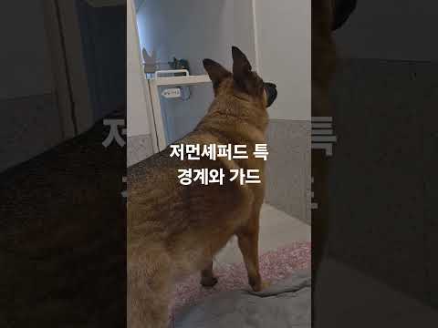 항상 경계를 멈추지않는 김온디씨