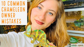 10 Common Chameleon Owner Mistakes