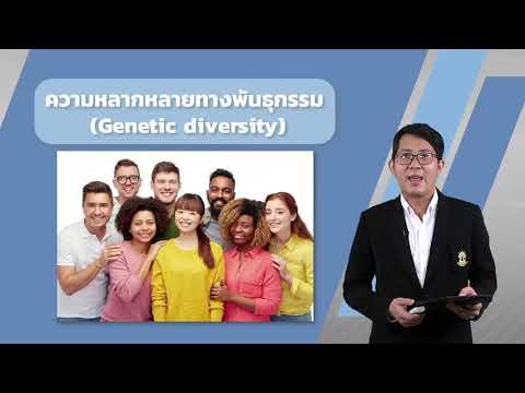 วีดีโอ: ทำไมความหลากหลายทางพันธุกรรมจึงเป็นข้อได้เปรียบ?