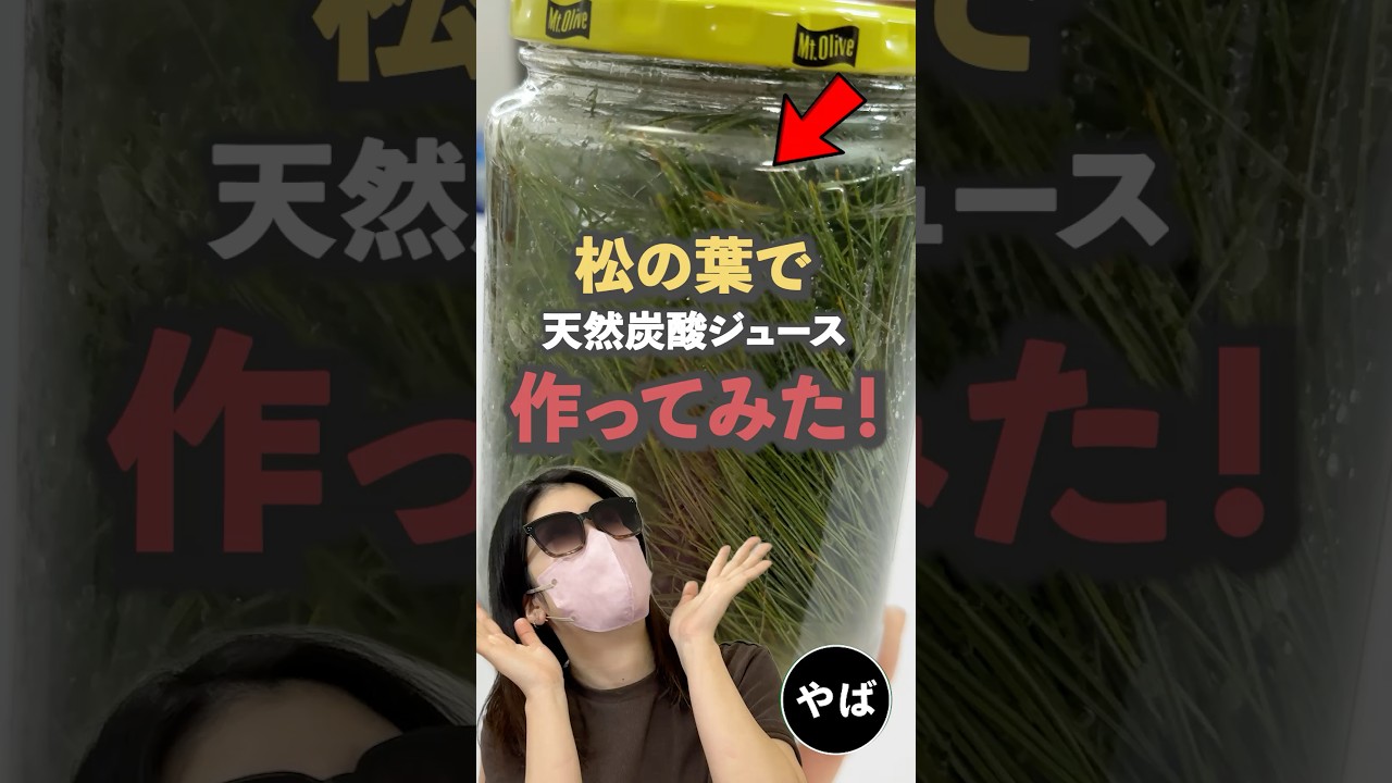 松の葉で炭酸ジュース作り方！