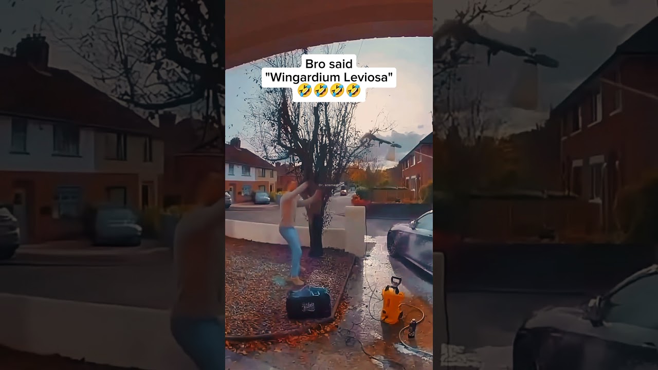 Bro was expelled from Hogwarts 