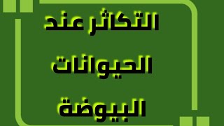 إيقاظ علمي سنة ثالثة... التكاثر عند الحيوانات البيوضة...🐢🦜🐣🦆🦚