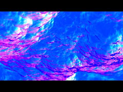 🎬 4K Screensaver – Neon Blue and Pink Liquid Currents | (No Sound)