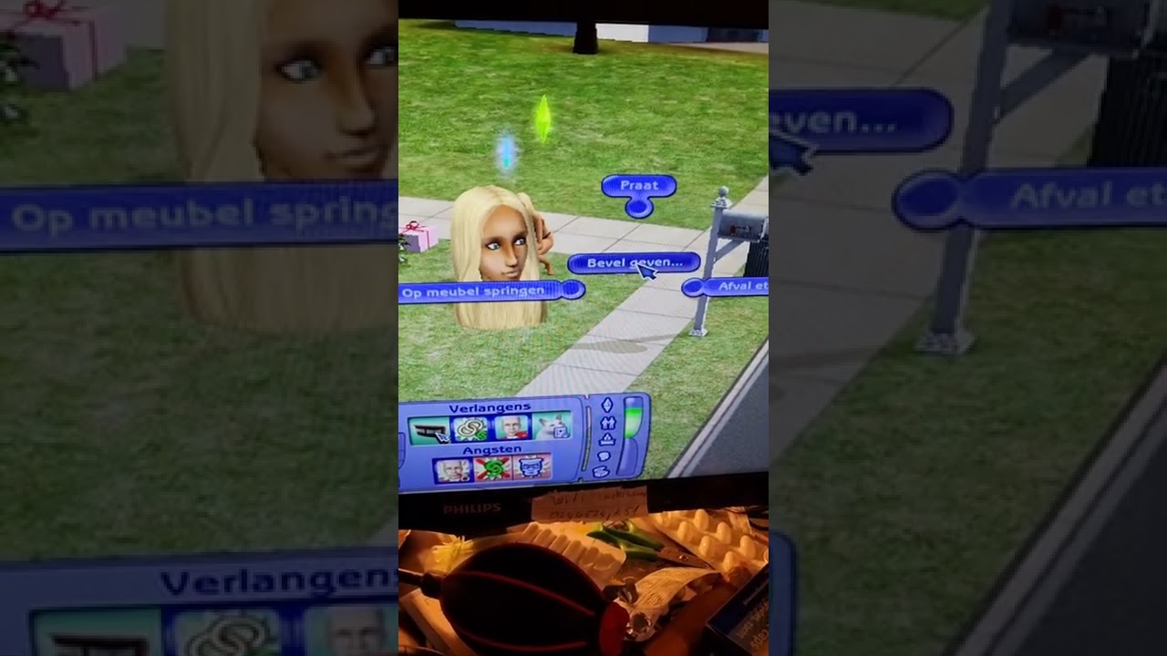 idiot cant control sims 2 camera YouTube