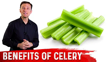 Kolik sacharidů obsahuje celer?