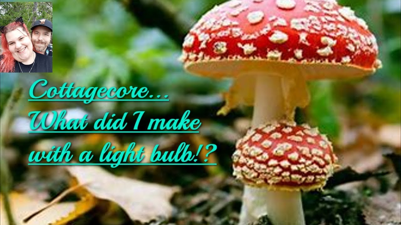 Just our imagiantion! A light bulb!? What!? 