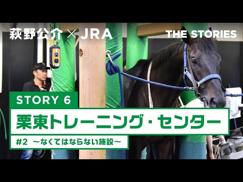 『萩野公介×JRA  THE STORIES』「STORY６ 栗東トレーニング・センター」#２ ～なくてはならない施設～ | JRA公式