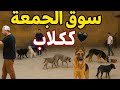 أسعار الكلاب في سوق الجمعة مصر 2025 كل الأنواع والتفاصيل