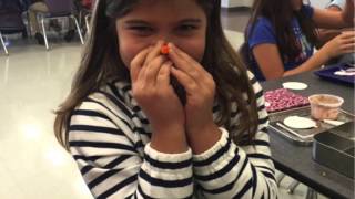 Barrow 4th grade fall 2015