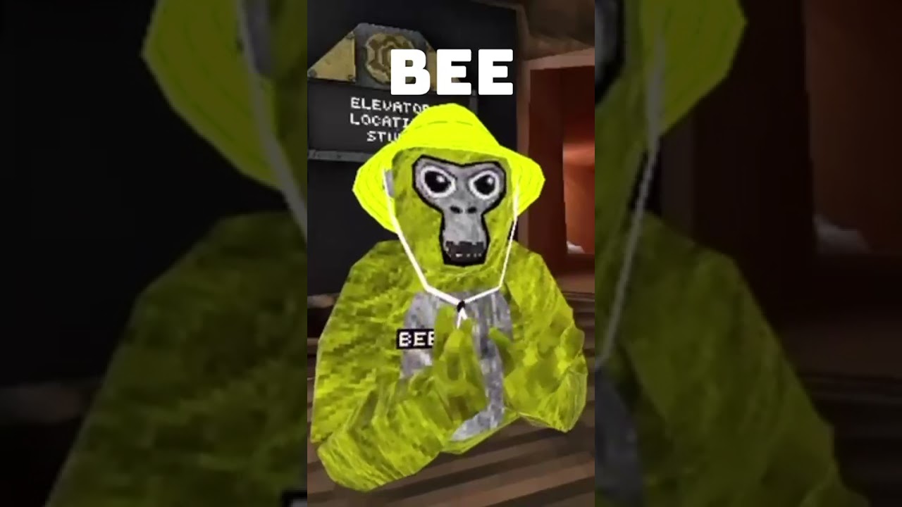 Вы меня понимаете? 