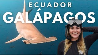 The Galapagos, Ecuador - FULL Travel Guide! 2024