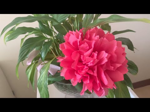 Come realizzare un fiore con un tovagliolo o un fazzoletto di carta