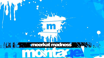 Meerrkat Madness | Multi CoD Montage
