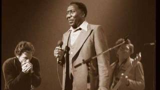 Rollin' And Tumblin' (Live) : Muddy Waters chords