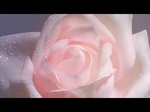 قطوفها دانية الدكتور سلطان بن بدير العتيبي