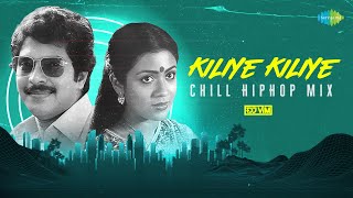 Kiliye Kiliye - Chill HipHop Mix | Aa Raathri | Ilaiyaraaja | S. Janaki | DJ VIM