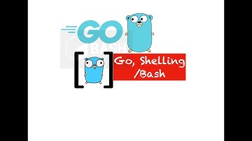 Learn how to execute shell script/python script from golang in less than 7minutes - PART 27