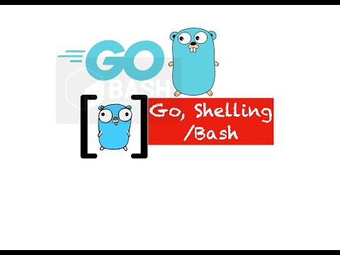 Learn how to execute shell script/python script from golang in less than 7minutes - PART 27