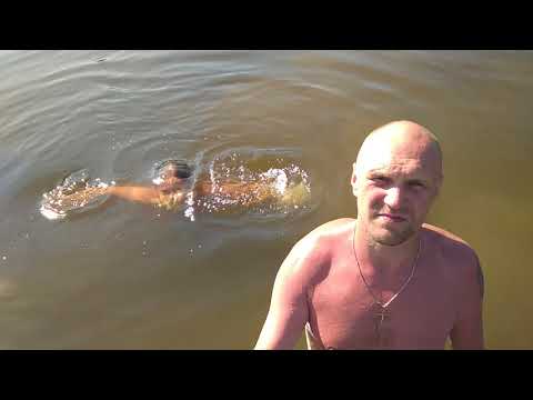 Рыбалка на реке Истра. 2-3августа 2018 - YouTube Рыбалка на реке Истра. 2-3августа 2018 - YouTube