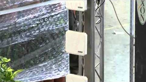 Horizontal cooperation in the floriculture