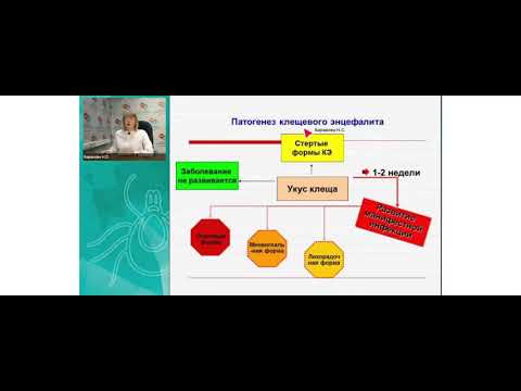 2-ая часть «Инфекции, передаваемые клещами: диагностика, терапия, исходы, наблюдение за пациентом»