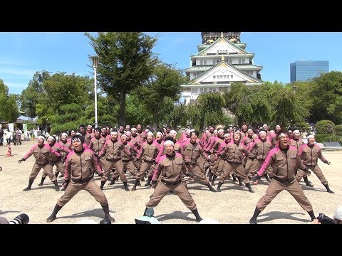 近畿大学よさこい連 洗心 @ こいや祭り (大阪城天守閣前会場) 2017-09-09T12:12