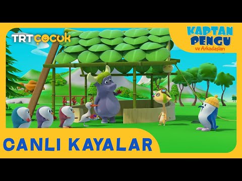 KAPTAN PENGU VE ARKADAŞLARI | CANLI KAYALAR