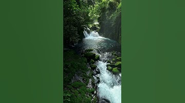 الشيخ محمود خليل الحصري رحمه الله  تلاوة من سورة الكهف #قران_كريم #الحصري