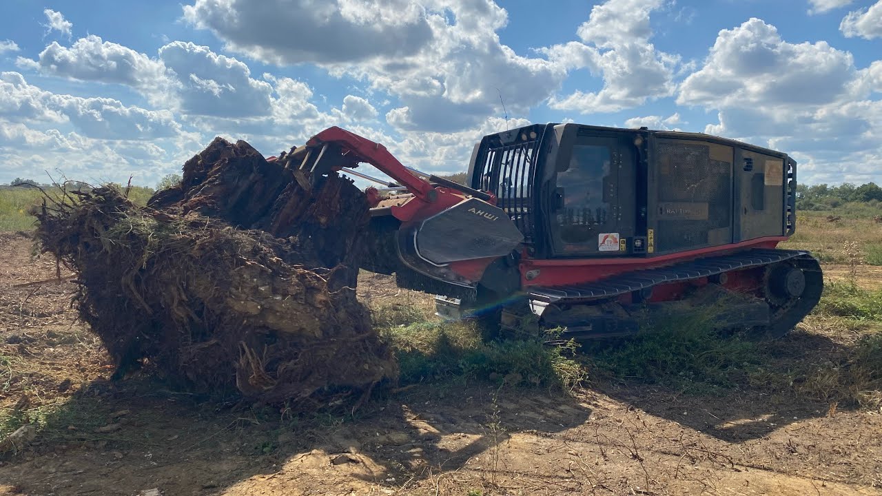 ⚠️ La plus grosse souche jamais broyer 🤯         Broyage forestier d’une très grosse souche