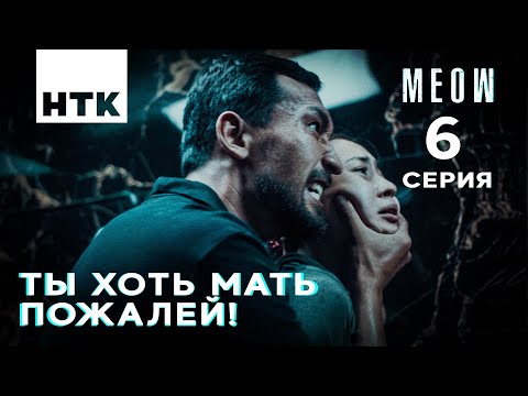 Умоляю, спаси меня! | MEOW — 6 серия [4K]