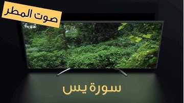 سورة يس | استمتع بالتلاوة مع صوت المطر | اصوات طبيعية | استرخاء - دراسة - تأمّل - نوم - عمل
