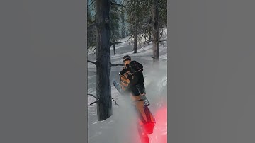 Them trees got magnets but I ain