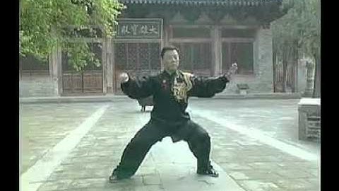 Chen style Tai Chi new frame 1st routine