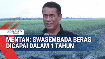 Prabowo: 2025 Indonesia Tak Lagi Impor Beras, Jagung, dan Garam