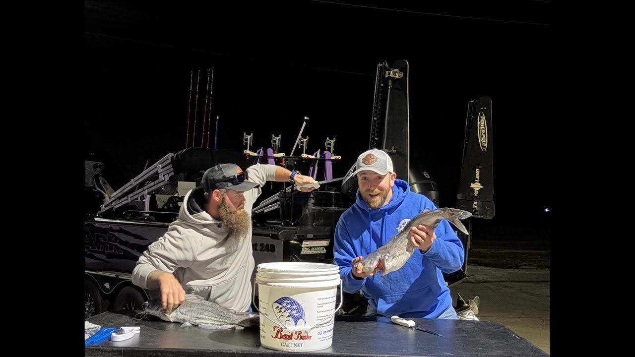 Fillet catfish at tackle bandit ￼