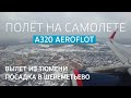 Airbus A320 VP-BTC | Аэрофлот | Тюмень (TJM) - Москва (SVO)  | 4K