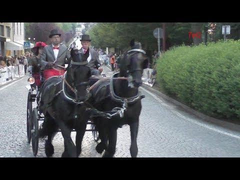 Video: Carrozze a cavalli nobili Chicago