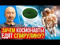 СПИРУЛИНА: 1 кг = 1 тонне овощей и фруктов! НО не любая спирулина полезна! Мой эксперимент и КОСМОС!