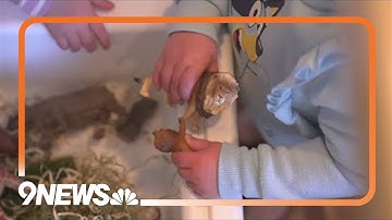 Weld County joining other counties in freezing enrollment for childcare assistance