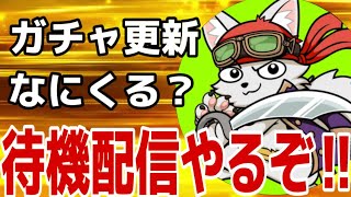 なにがくる？？？【バウンティラッシュ】