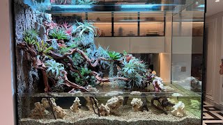 5 Feet Waterfall Paludarium | 瀑布半水景缸