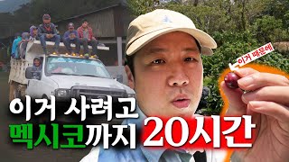 대한민국 커피 역사상 다신 없을 영상 【신의커피】 4K